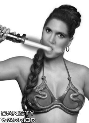 My Carrie Fisher / Amy Schummers mash-up