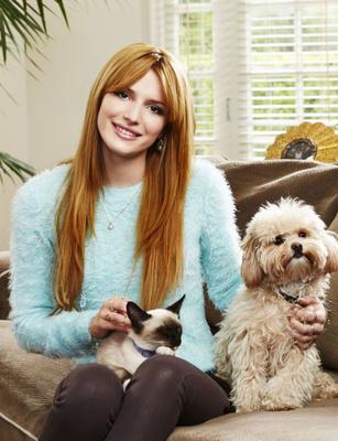 bella thorne sweater