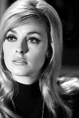 Sharon Tate / Actrice américaine