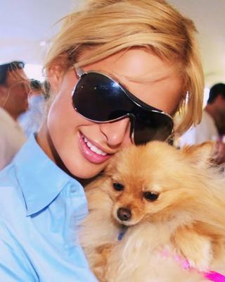 Paris Hilton / Personalidade da mídia americana