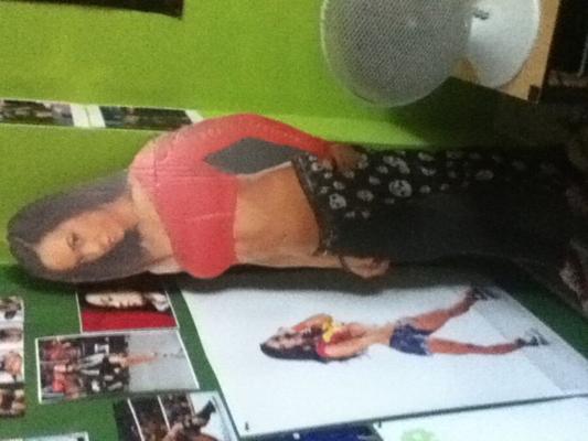 AJ Lee Obsession Wall