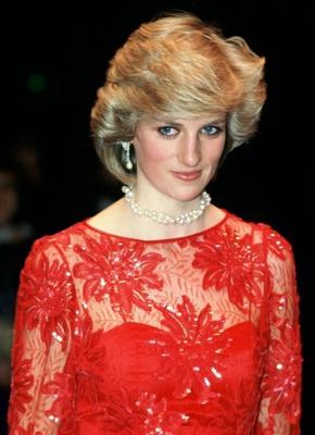 Wunderbare Prinzessin Diana