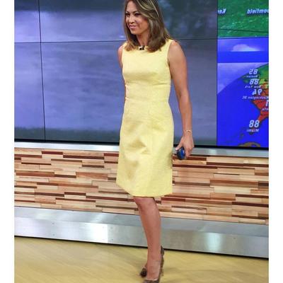 Abanico Ginger Zee 15