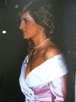 Mélange de princesse Diana pour la simuler