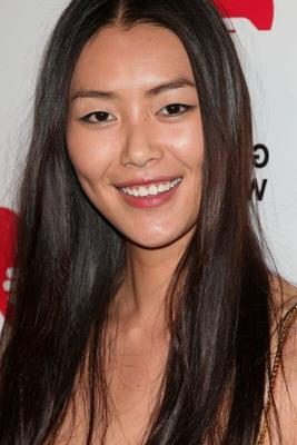 Liu Wen