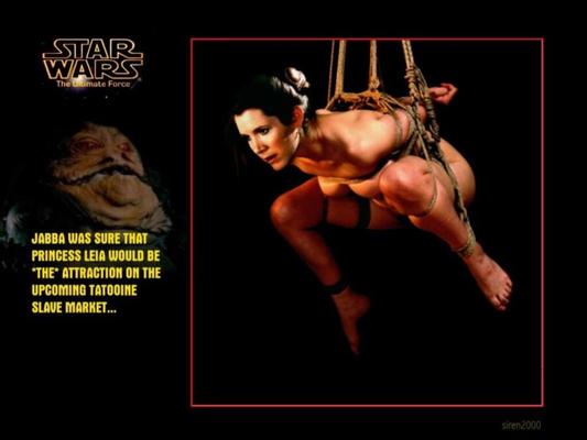 Princess Leia Alternative History