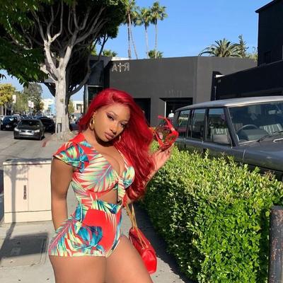 Durstige Hure Megan Thee Stallion