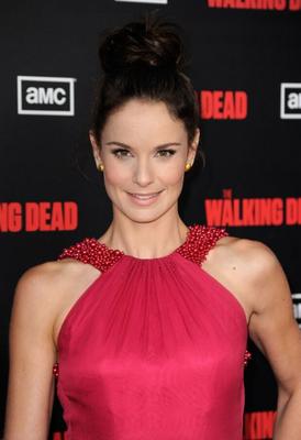 Arsenist-Album – Sarah Wayne Callies