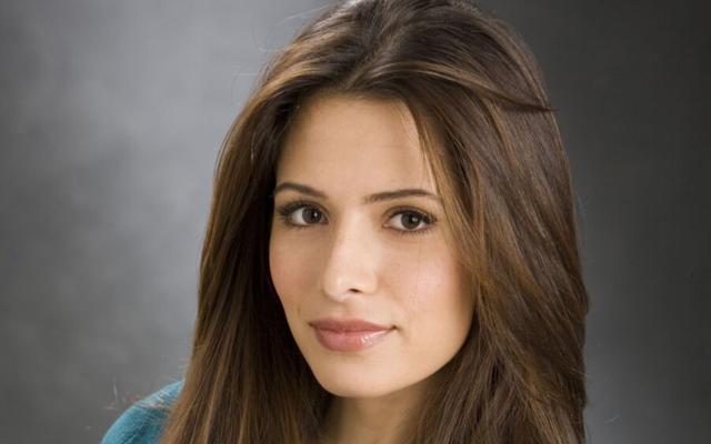 Sarah Shahi, elle est ma personne d'intérêt