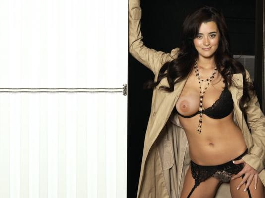 Cote de Pablo Fakes