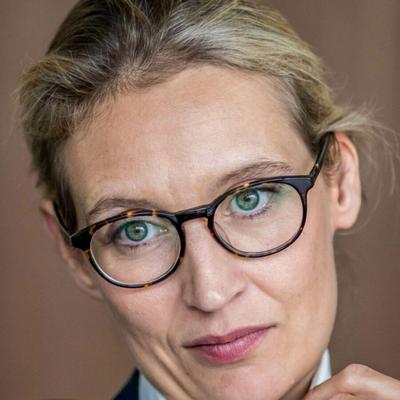 die huebsche frau weidel