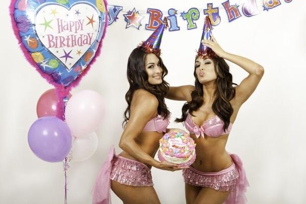 WWE Divas Bella twins