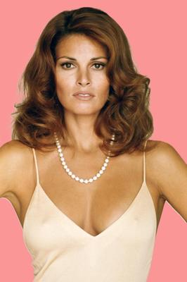 RAQUEL WELCH Vol 1