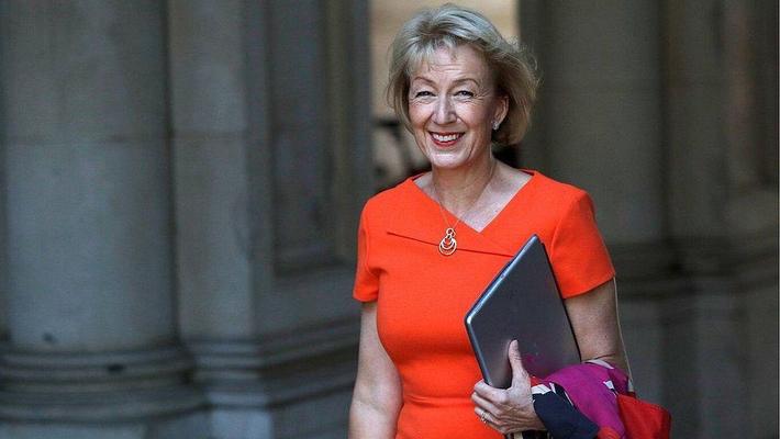 Enjoy a wank with ANDREA LEADSOM